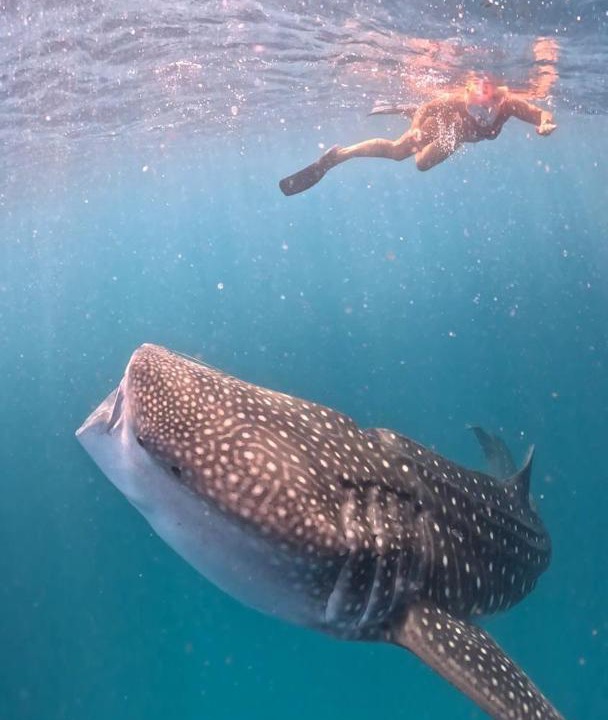 Photo of Others in Dhigurah