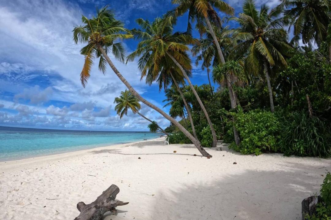 Photo of Others in Omadhoo