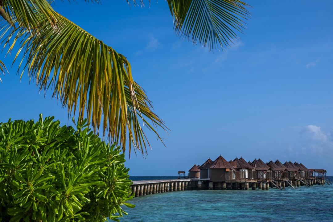 Photo of Others in Kudafolhudhoo