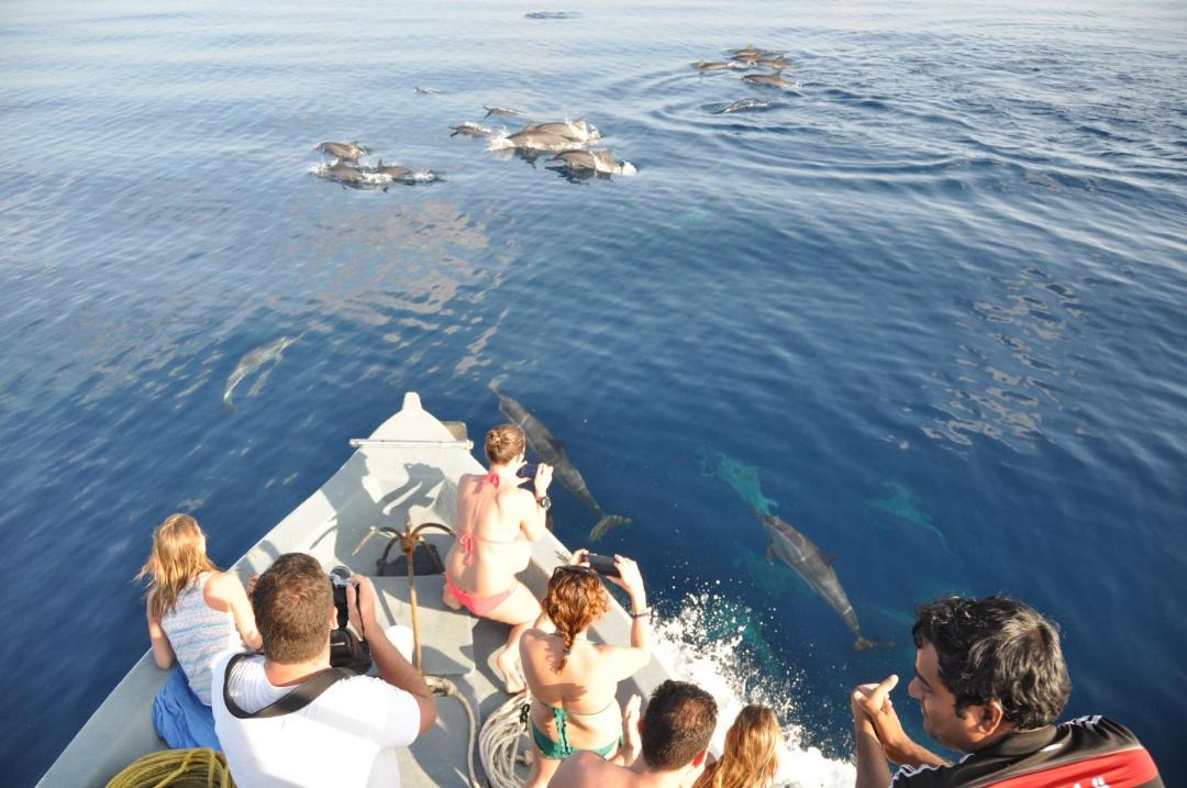 Photo of Others in Dharavandhoo