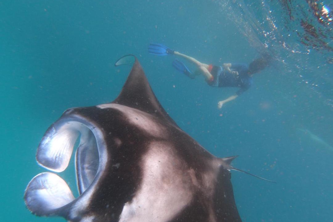 Photo of Others in Dharavandhoo