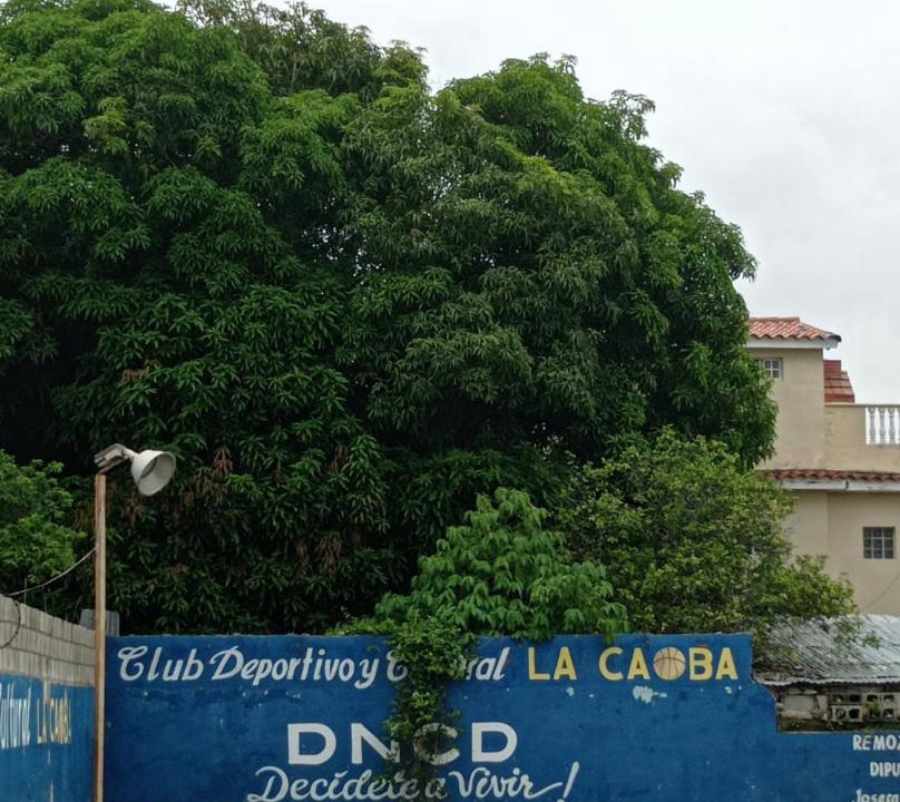 Photo of Others in Boca Chica