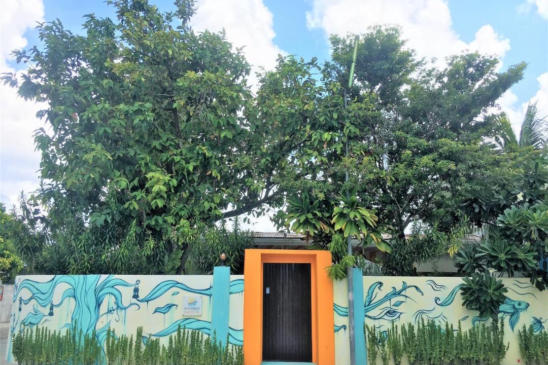 Photo of Others in Thulusdhoo Island