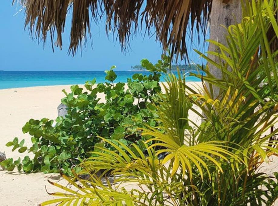 Photo of Outdoor in Las Terrenas