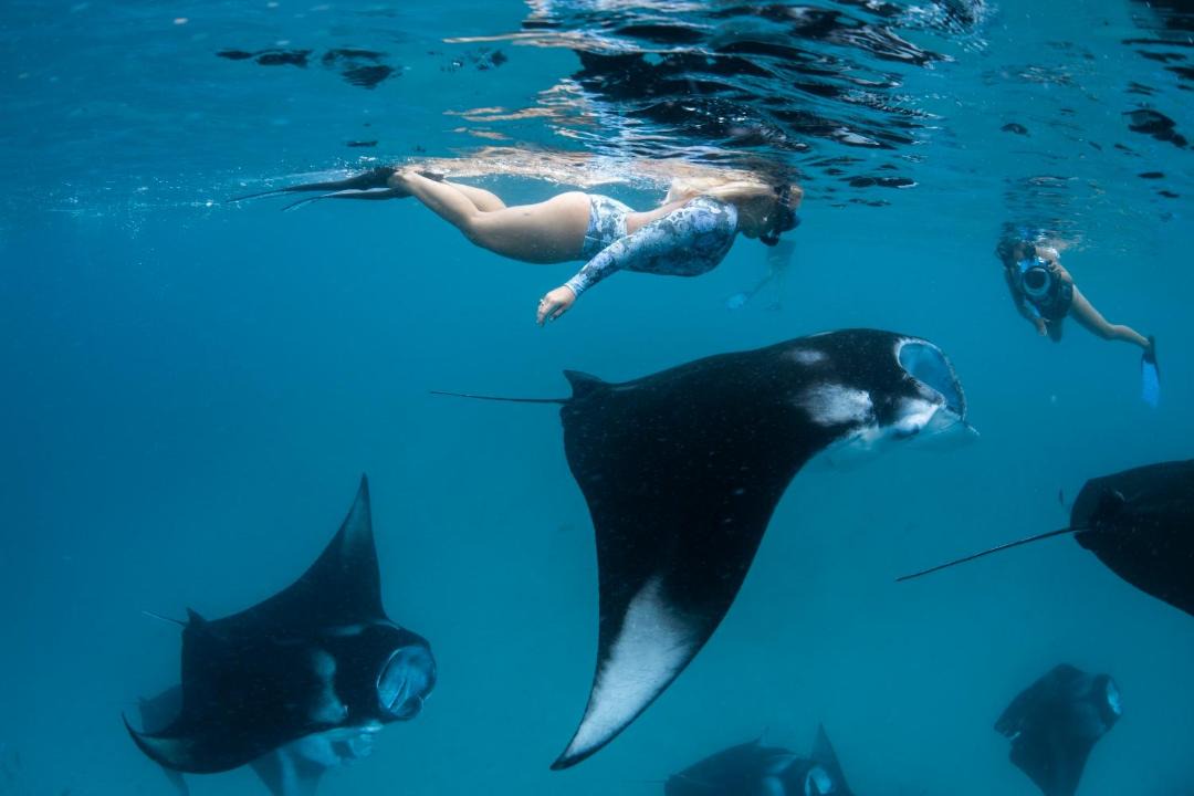 Photo of Human In Picture in Ukulhas