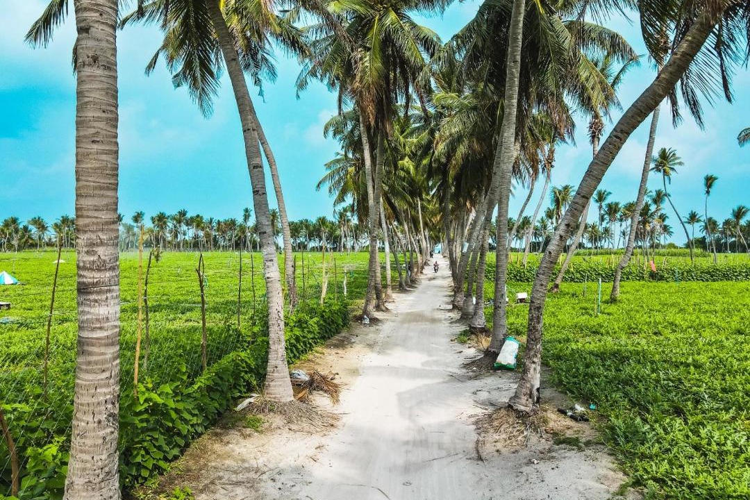Photo of Outdoor in Thoddoo