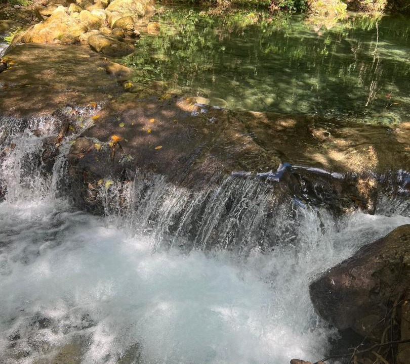 Photo of Others in Pedernales