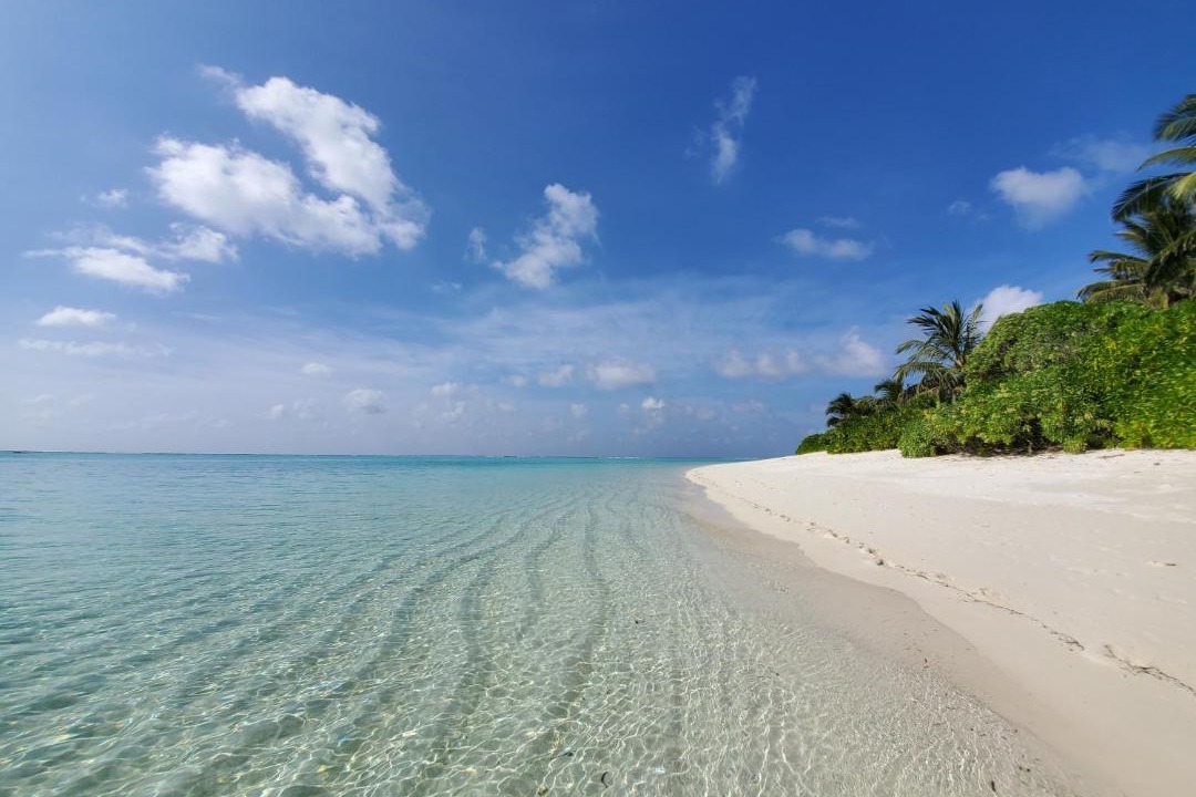 Photo of Others in Thoddoo