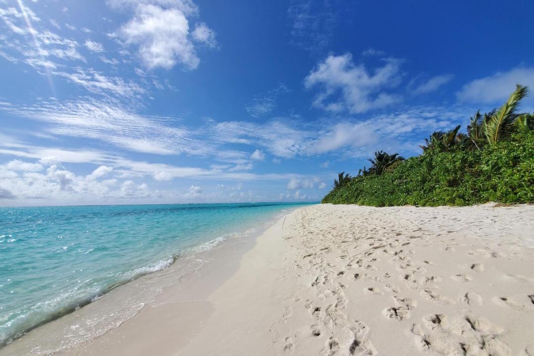 Photo of Others in Thoddoo
