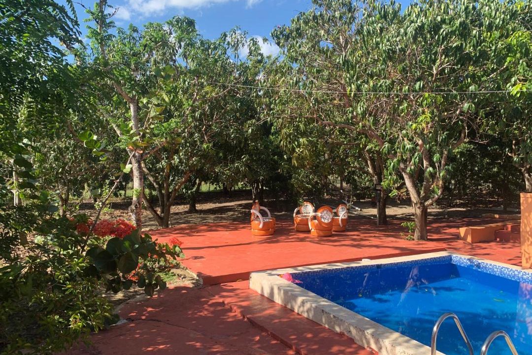 Photo of Outdoor in Higuey
