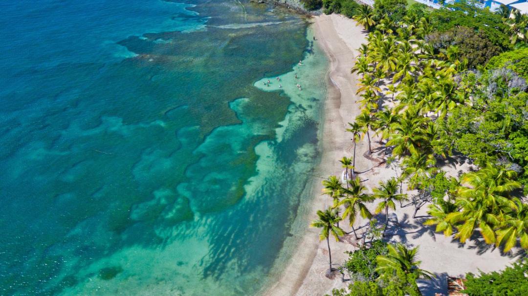 Photo of Others in Puerto Plata