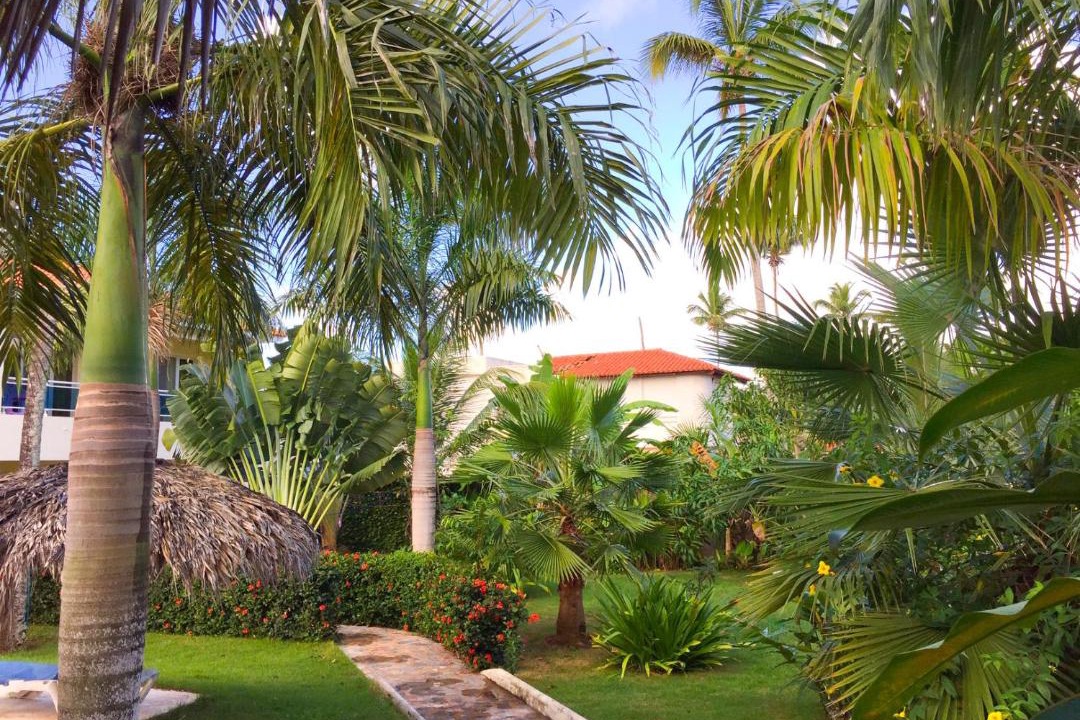 Photo of Others in Las Galeras