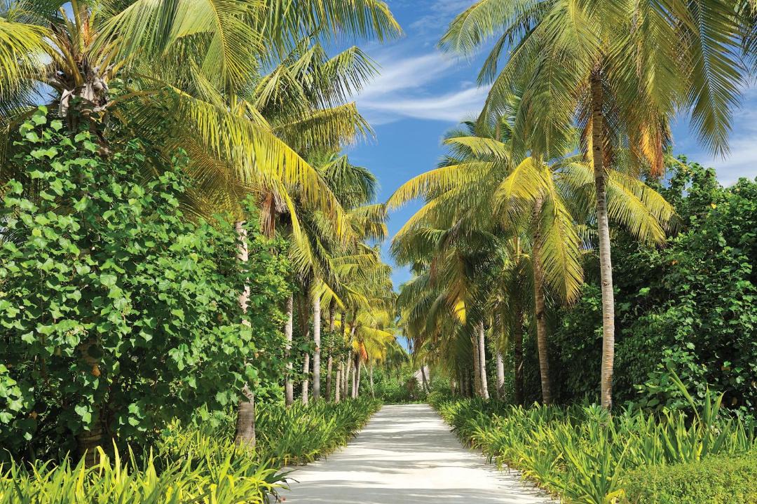Photo of Others in Maguhdhuvaa
