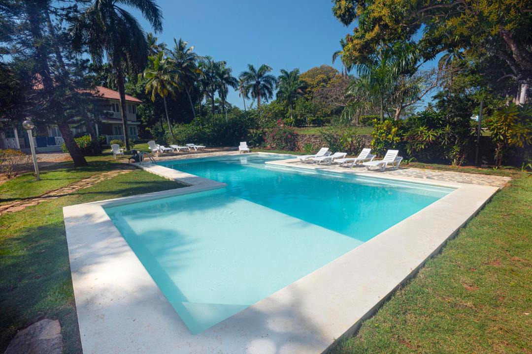 Photo of Others in Las Galeras