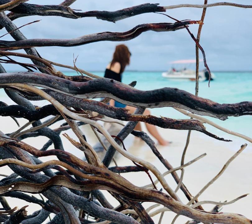 Photo of Human In Picture in Omadhoo
