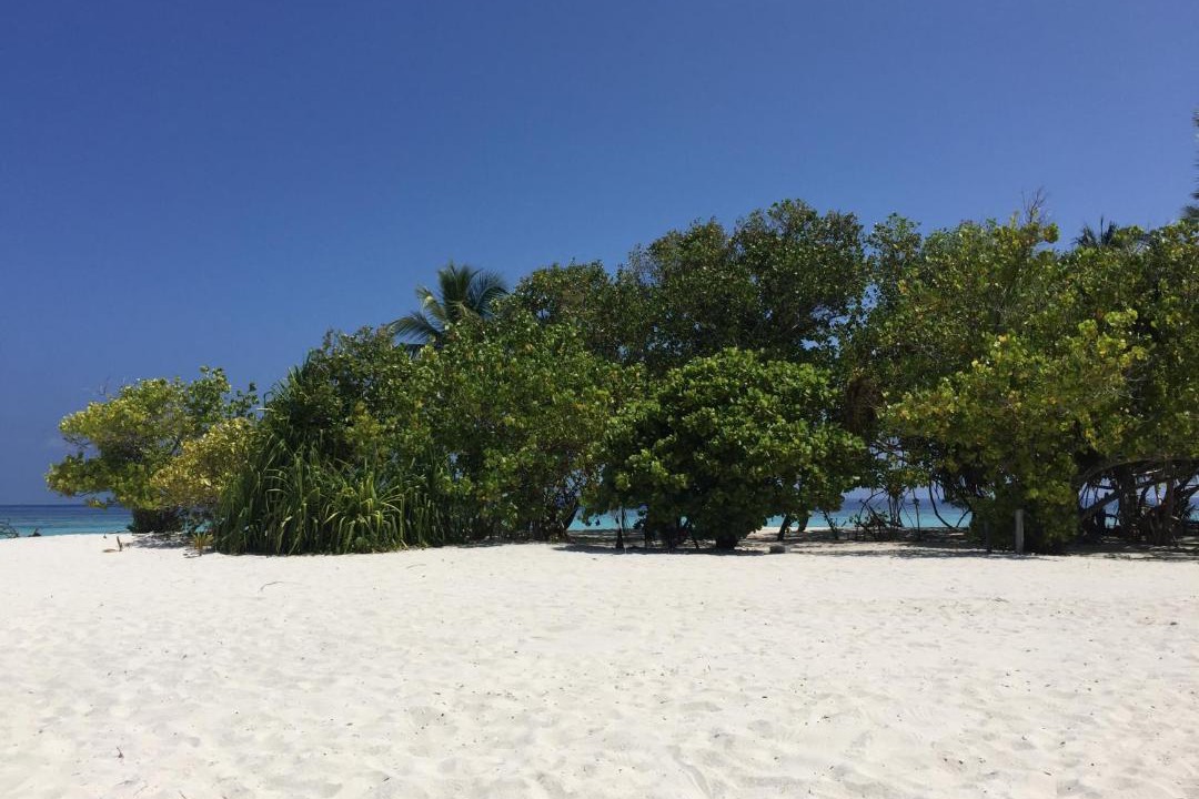 Photo of Others in Omadhoo