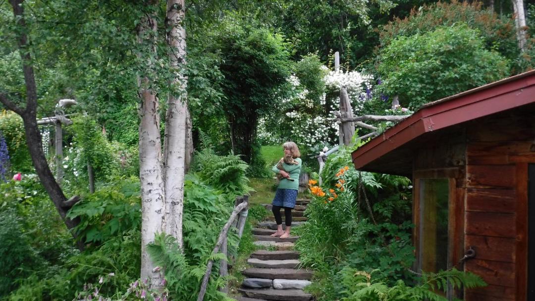 Photo of Others in Kachemak