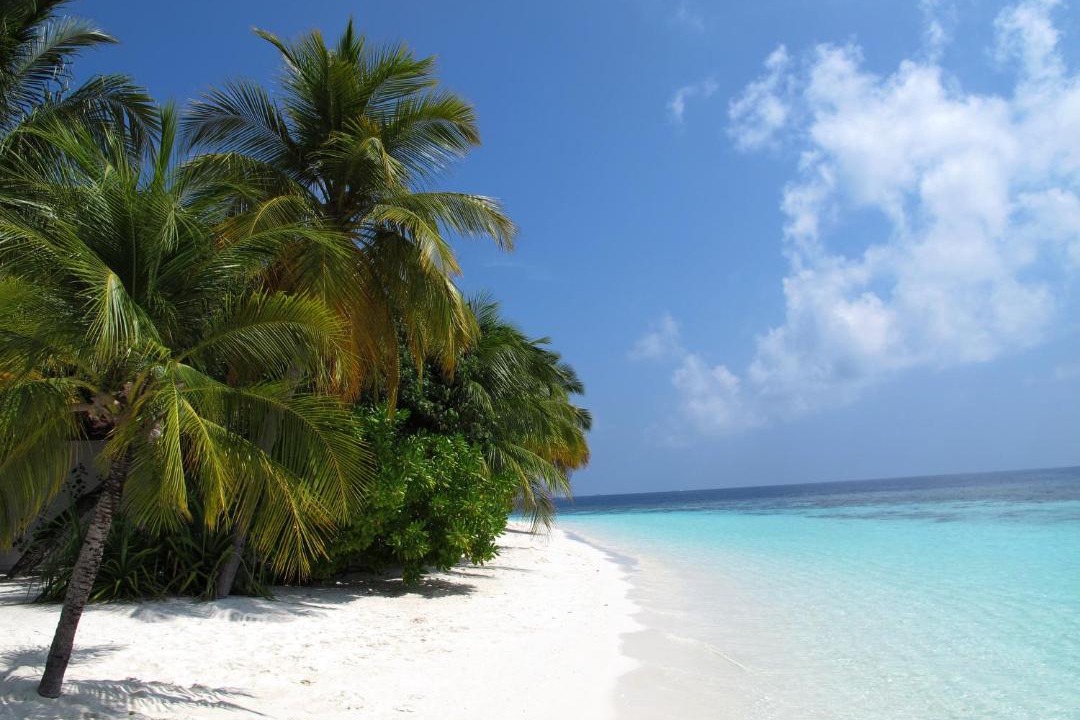 Photo of Others in Hulhumale