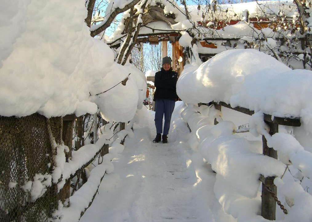 Photo of Others in Kachemak