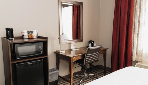 Standard Single Room, 1 King Bed, Pets Allowed